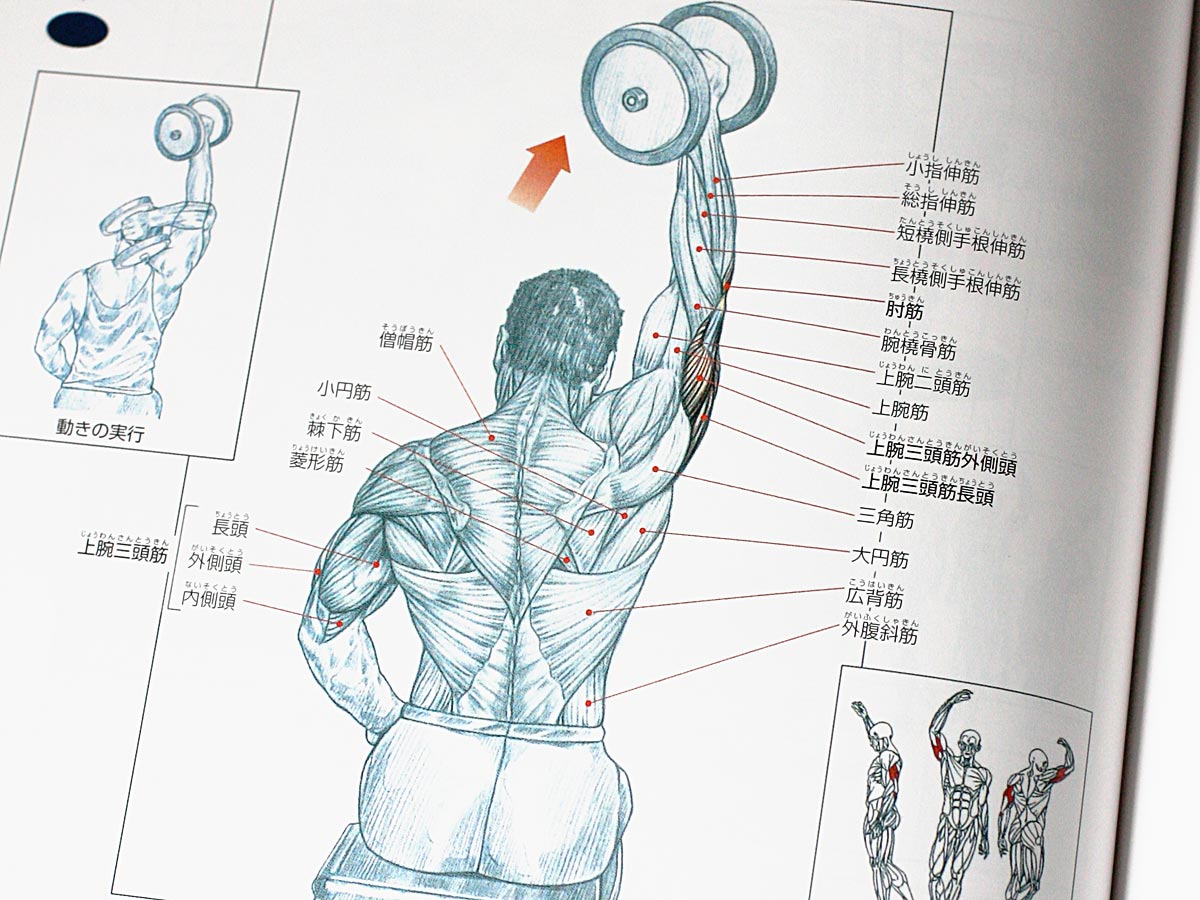 資料]目でみる筋力トレーニングの解剖学 | NG録
